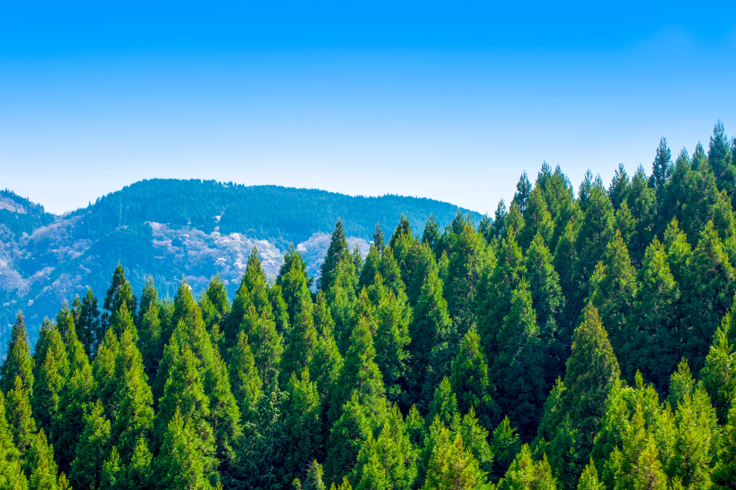 気候変動への対応